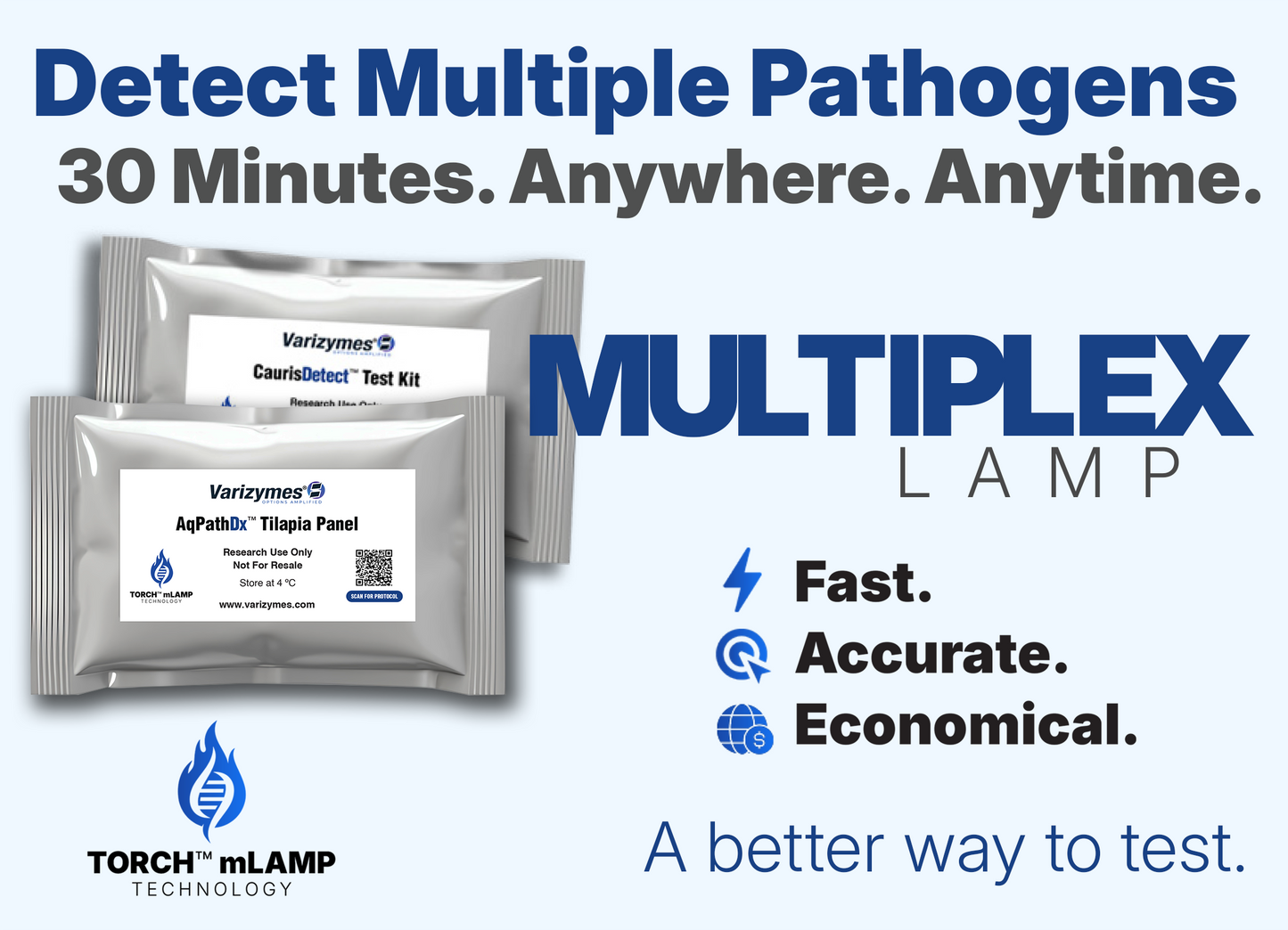 TORCH™ mLAMP Diagnostic Kits