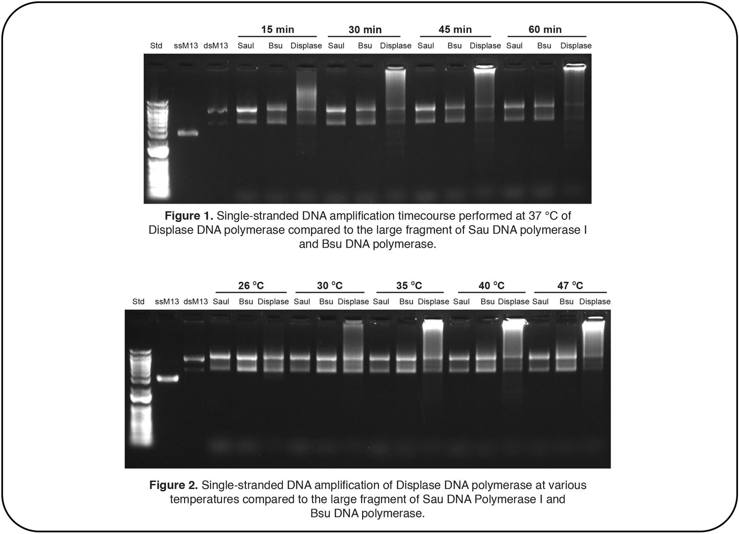 Displase™ DNA Polymerase