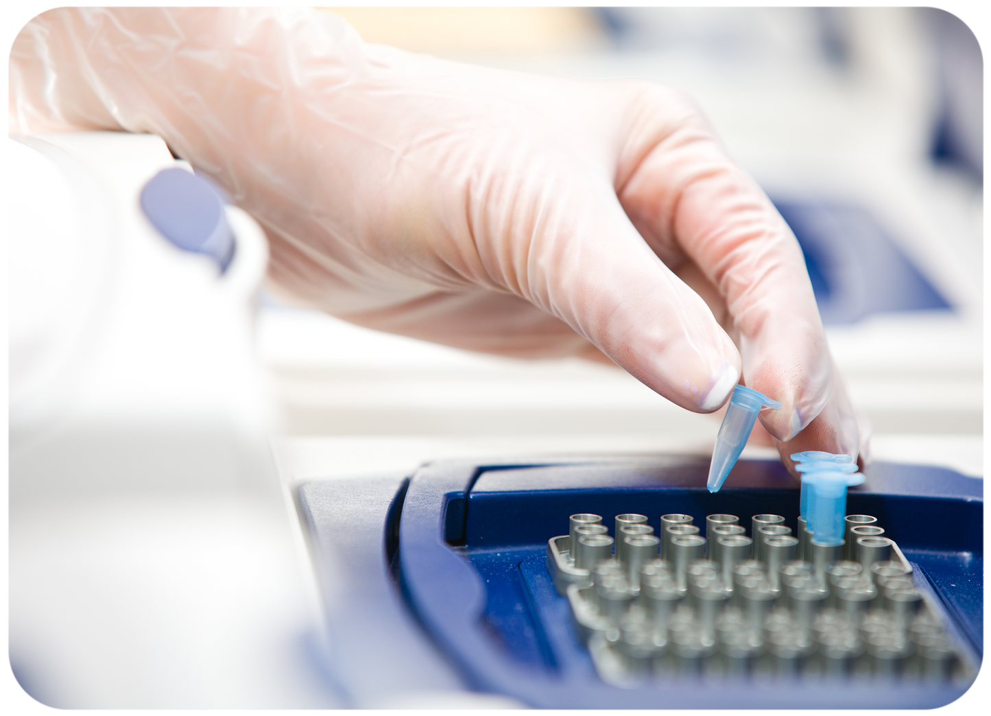 Displase™ DNA Polymerase