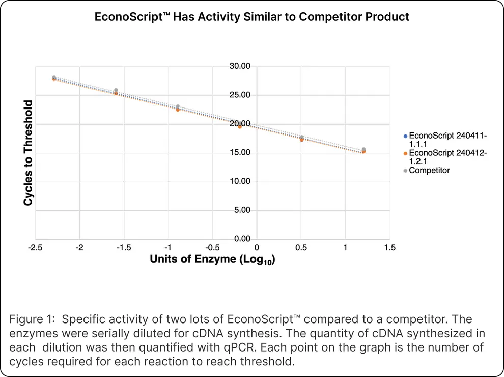 EconoScript™ Reverse Transcriptase