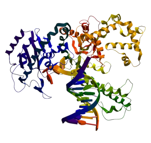 Molecular section Image