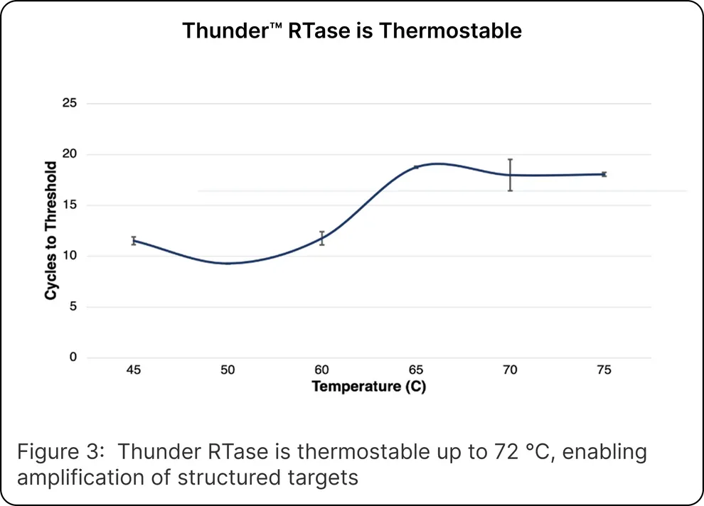 Thunder™ Reverse Transcriptase