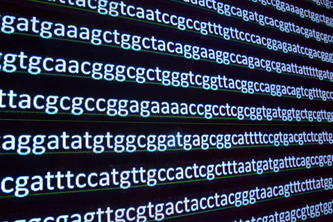 Fast and Easy NGS Library Prep Leverages Tn5 Transposase