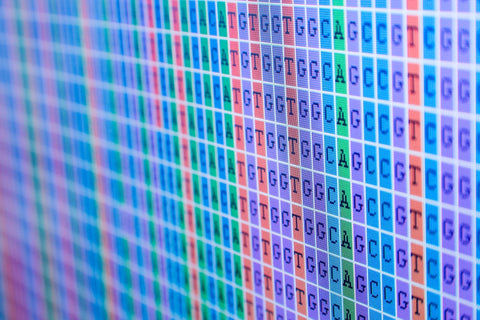How SwifTag™ Tn5 2.0 Transposase is Making NGS Simpler and Faster for Cancer Mutation Screening