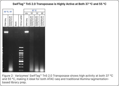SwifTag™ Tn5 2.0 Transposase