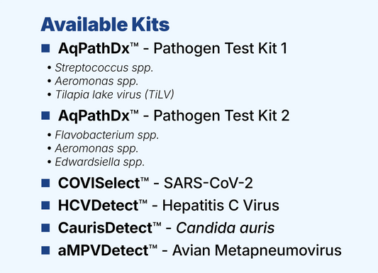 TORCH™ mLAMP Diagnostic Kits