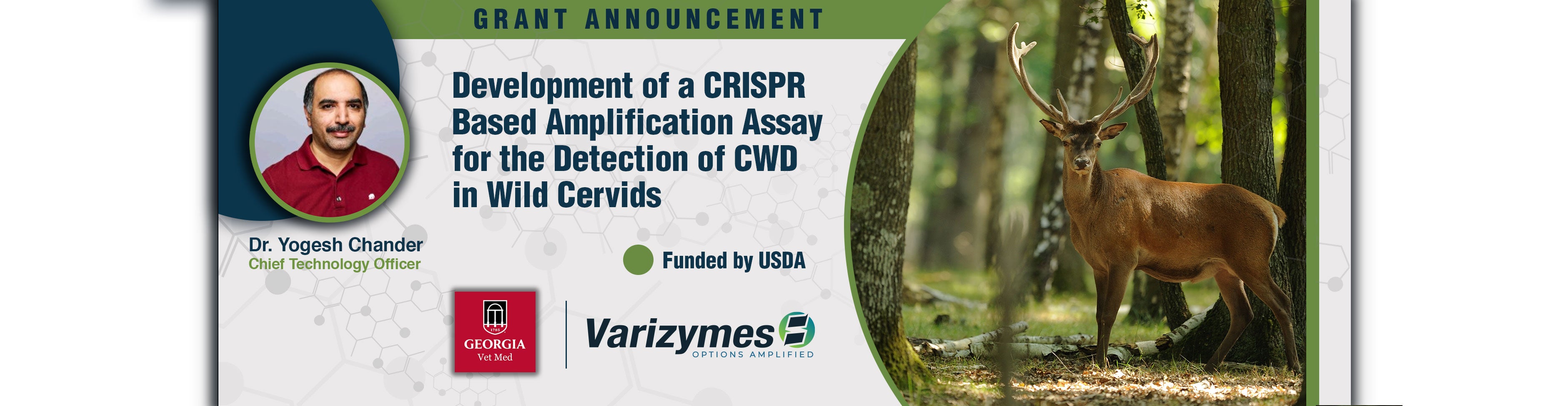 Varizymes