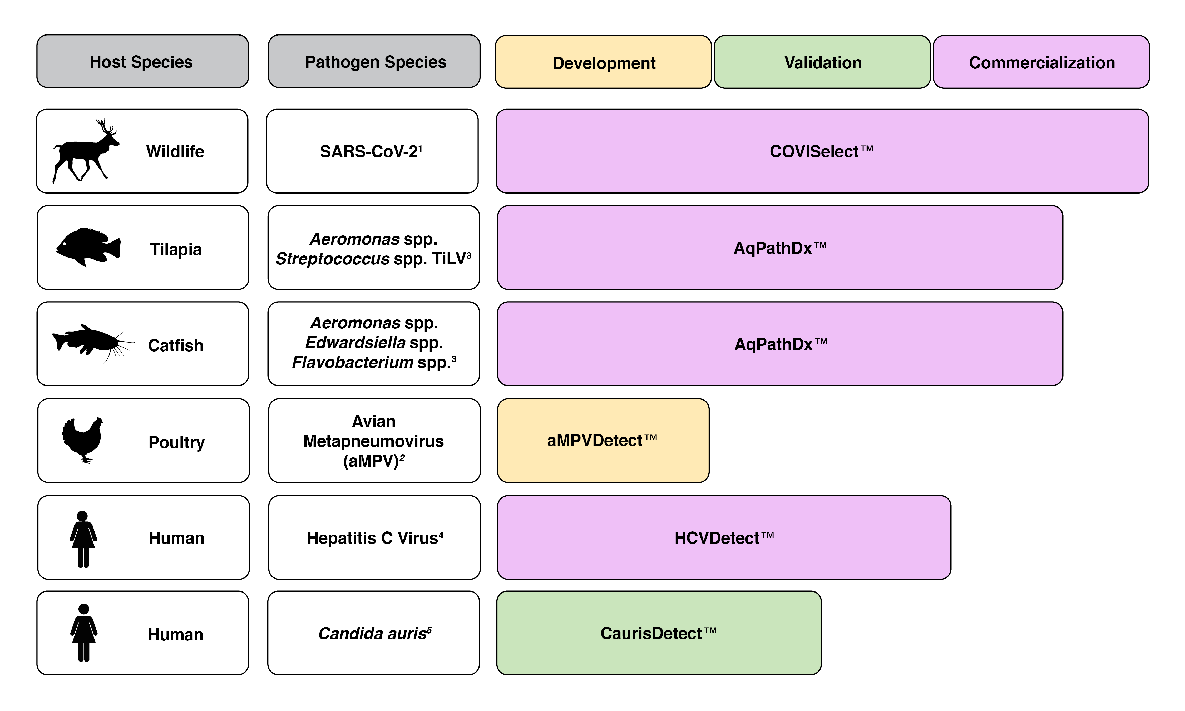 Pipeline section Image