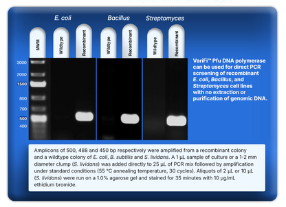 VariFi™ Pfu DNA Polymerase