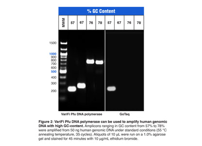 VariFi™ Pfu DNA Polymerase