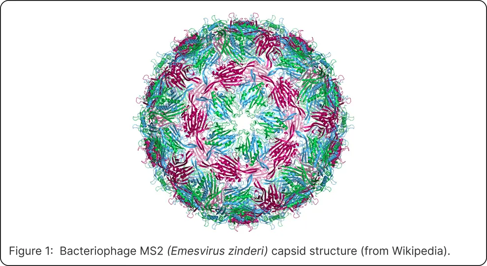 MS2 Phage