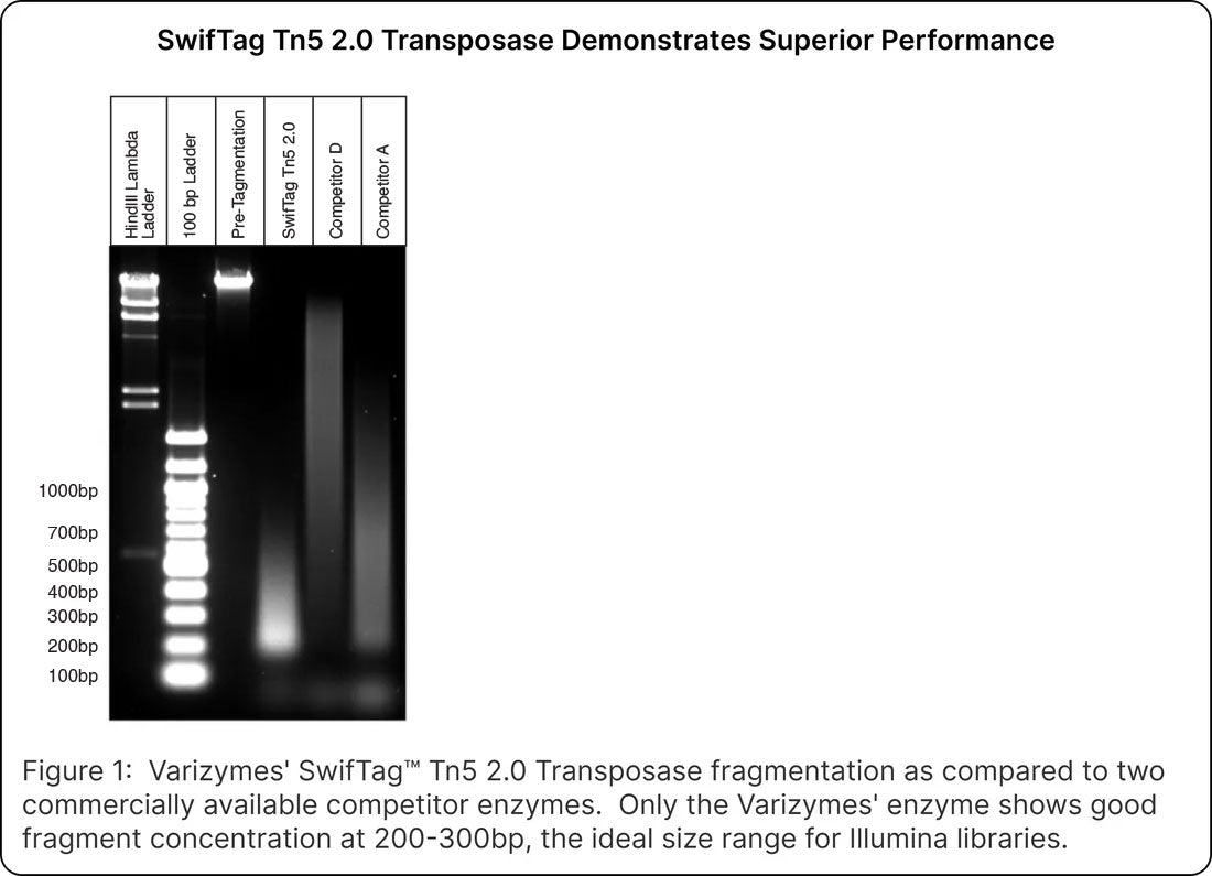 SwifTag™ Tn5 2.0 Transposase