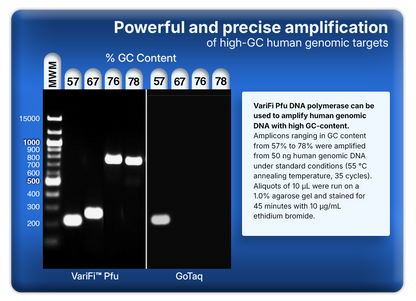 VariFi™ Pfu DNA Polymerase