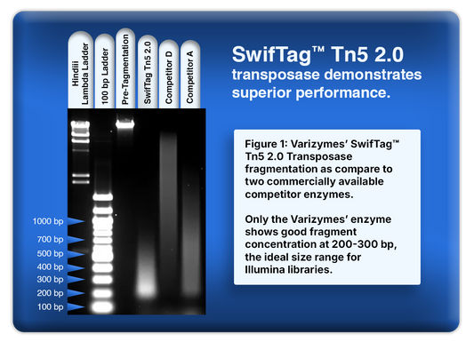 SwifTag™ Tn5 2.0 Transposase