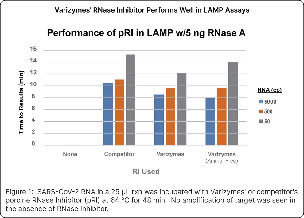 RNase Inhibitor