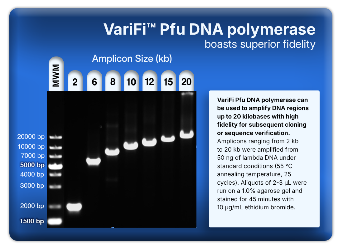 VariFi™ Pfu DNA Polymerase
