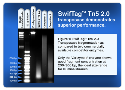 SwifTag™ Tn5 2.0 Transposase