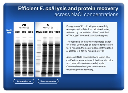 TotaLyse™ Protein Extraction Reagent with Ionase™ ST Nuclease