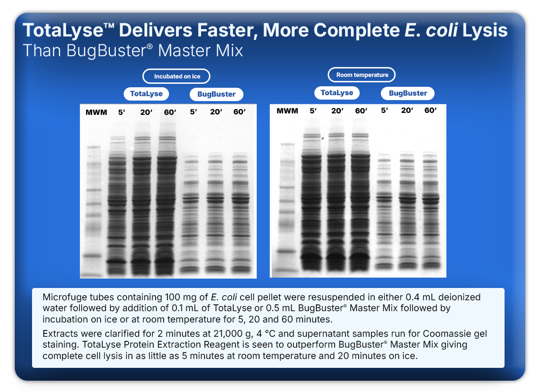 TotaLyse™ Protein Extraction Reagent with Ionase™ ST Nuclease