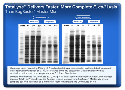 TotaLyse™ Protein Extraction Reagent with Ionase™ ST Nuclease