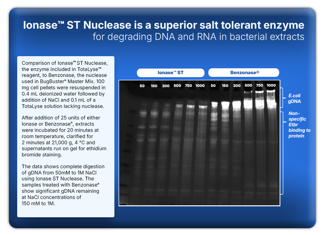 TotaLyse™ Protein Extraction Reagent with Ionase™ ST Nuclease