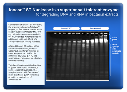 TotaLyse™ Protein Extraction Reagent with Ionase™ ST Nuclease