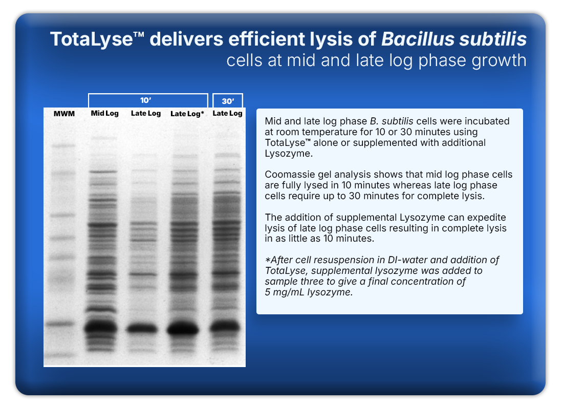 TotaLyse™ Protein Extraction Reagent with Ionase™ ST Nuclease