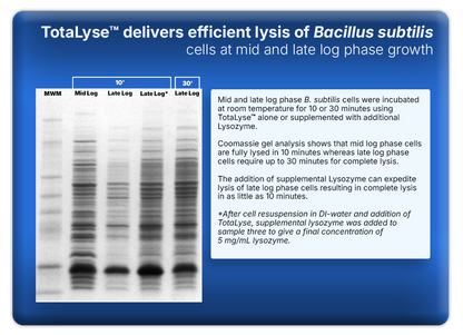 TotaLyse™ Protein Extraction Reagent with Ionase™ ST Nuclease