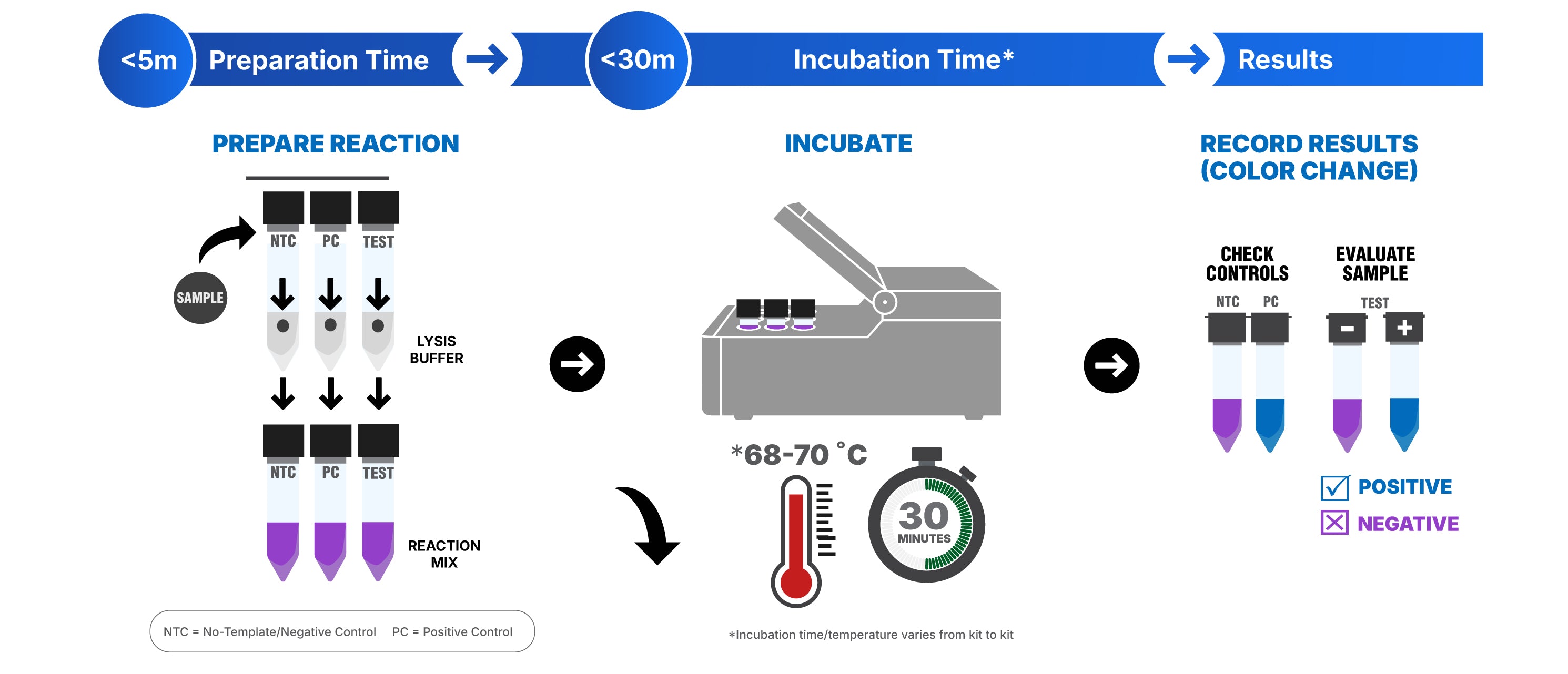 Section section Image