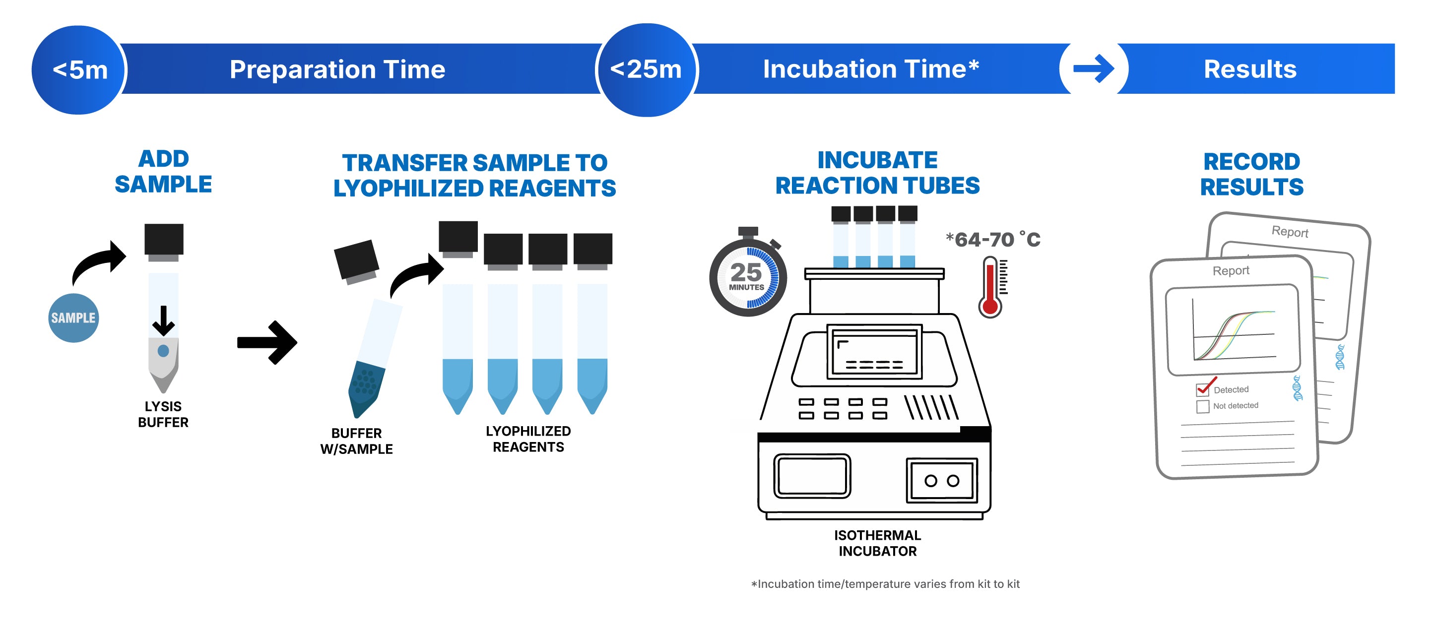 Section section Image