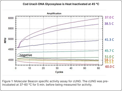 Cod Uracil-DNA Glycosylase