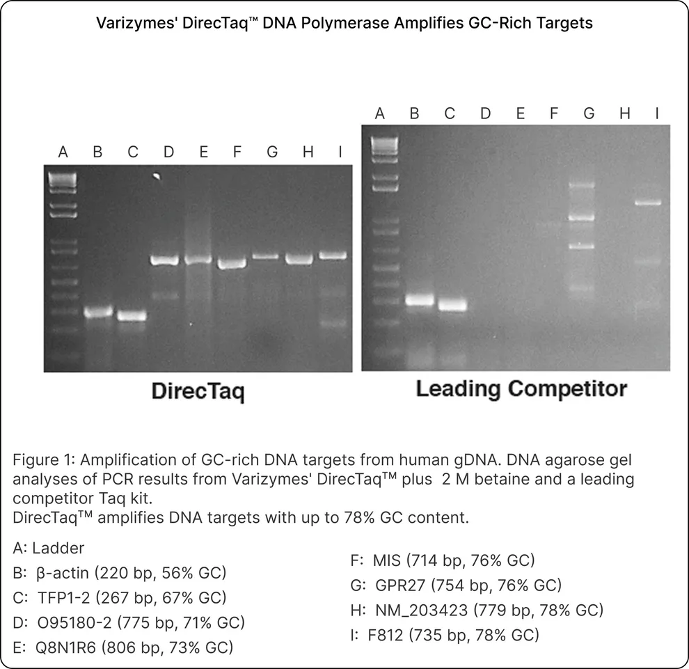 DirecTaq™ DNA Polymerase