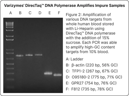 DirecTaq™ DNA Polymerase