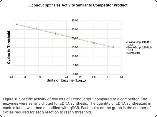 EconoScript™ Reverse Transcriptase