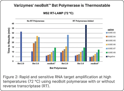 neoBolt™ Bst DNA Polymerase