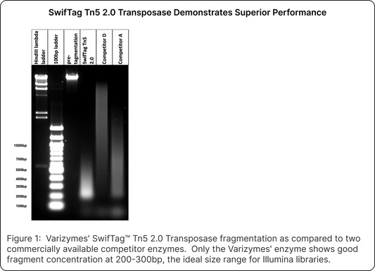 SwifTag™ Tn5 2.0 Transposase