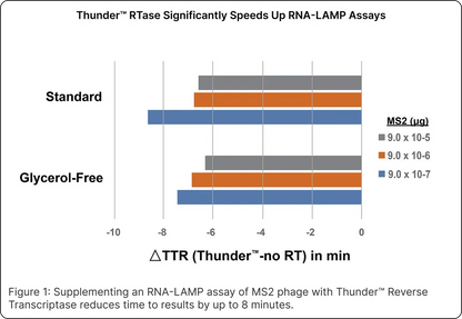 Thunder™ Reverse Transcriptase