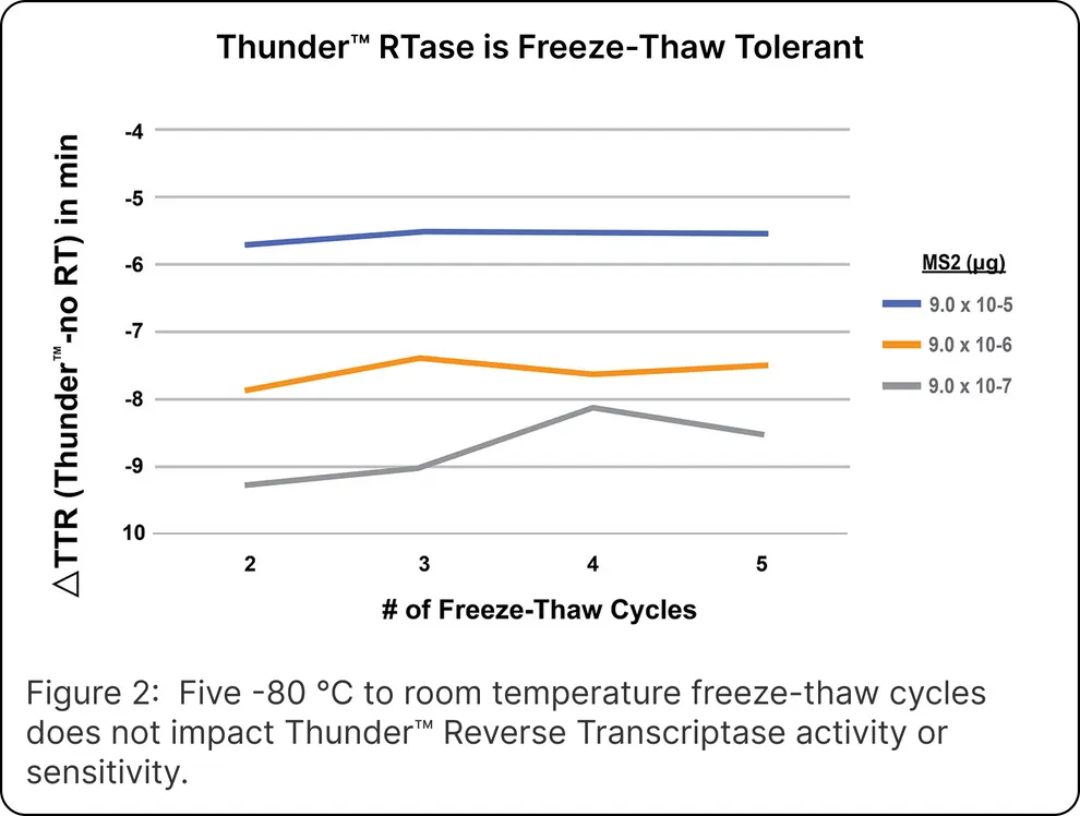 Thunder™ Reverse Transcriptase